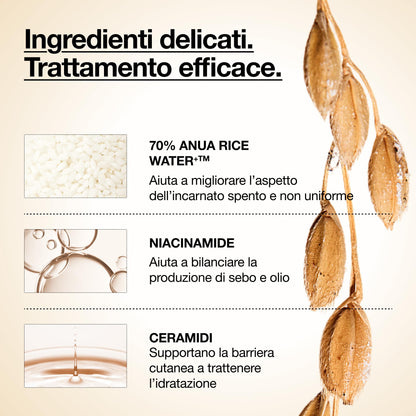 Anua Rice 70 Glow Milky Toner – Tonico Viso Idratante e Illuminante Coreano, con Acqua di Riso 70%, Niacinamide, Ceramidi e Pantenolo, Tonico Lattiginoso per Pelle Sensibile, Non Comedogenico (250ml)